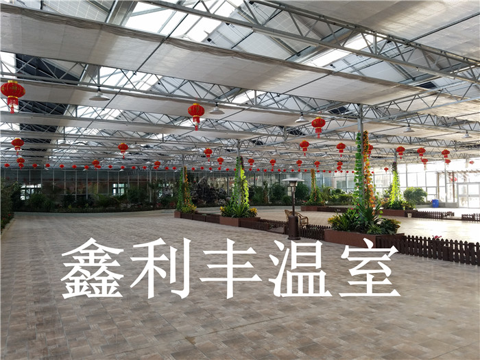 玻璃大棚