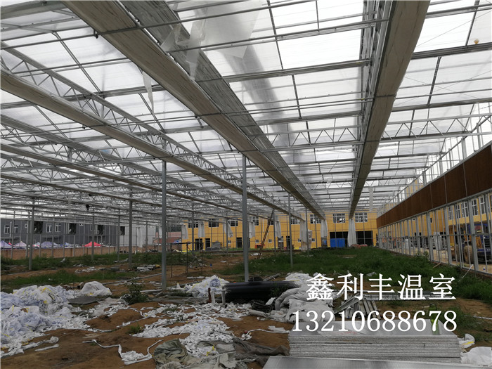 河北省固安縣城東花卉市場