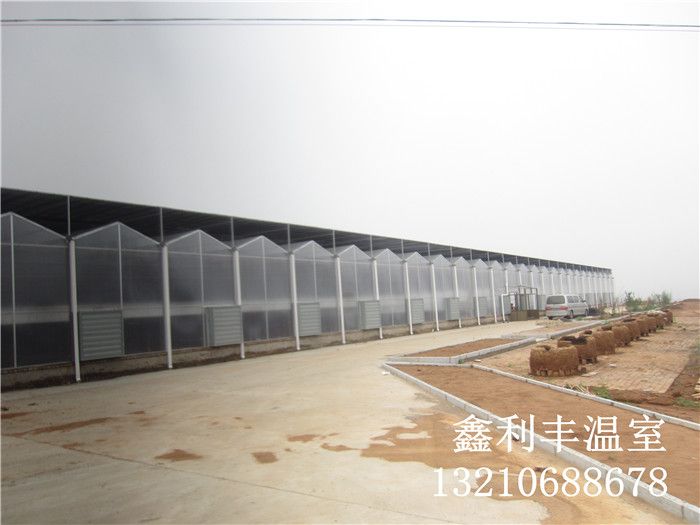 陽光板玻璃溫室
