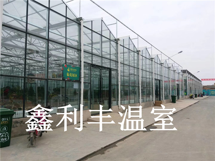 甘肅隴西花卉市場