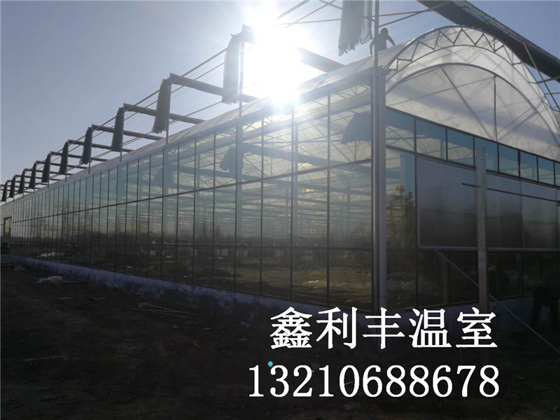 溫室大棚餐廳