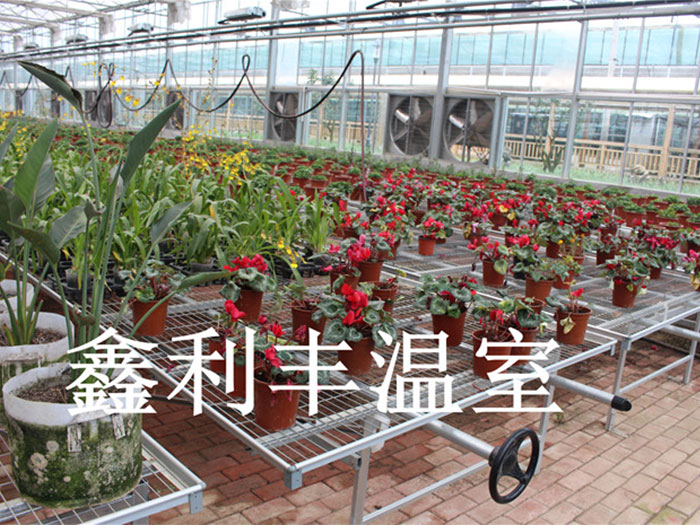 移動(dòng)苗床