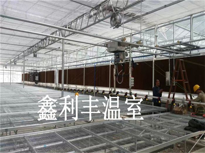 移動噴淋