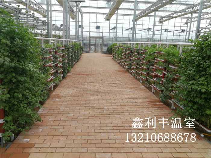 無(wú)土栽培