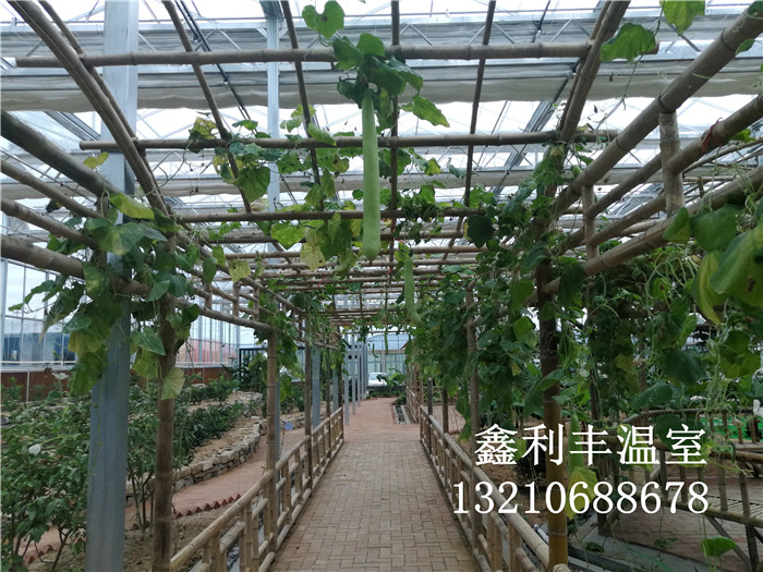 無土栽培