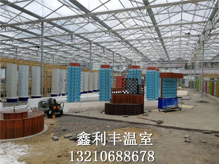 江西無土栽培技術 魚菜共生