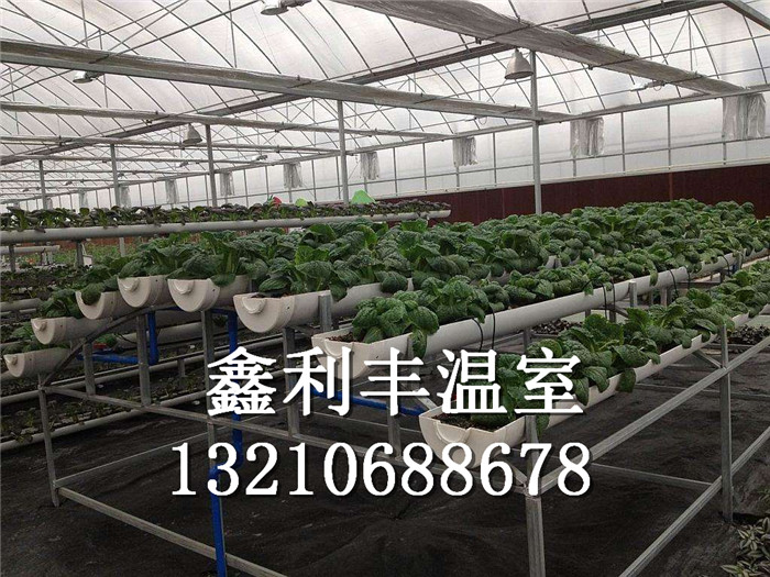 供應弧形管式無土栽培