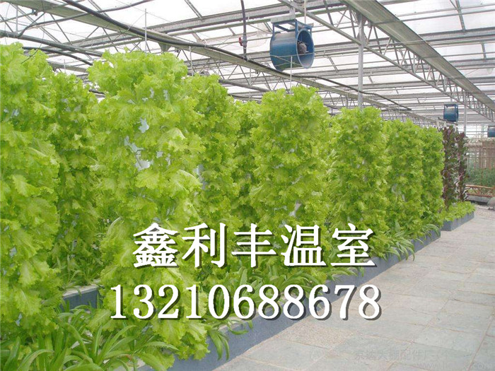 供應立柱栽培植物工廠無土栽培工程景觀溫室