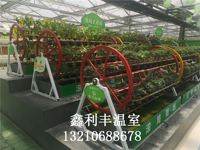 滾桶式無土栽培
