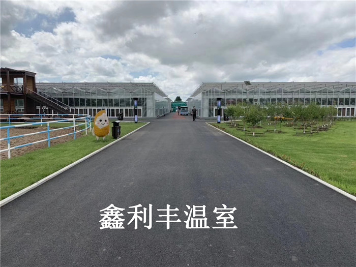 無土栽培內景