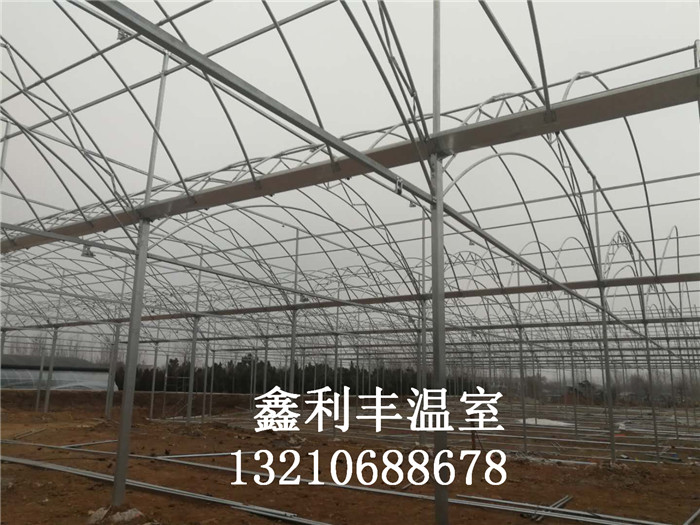 雙拱雙膜連棟溫室