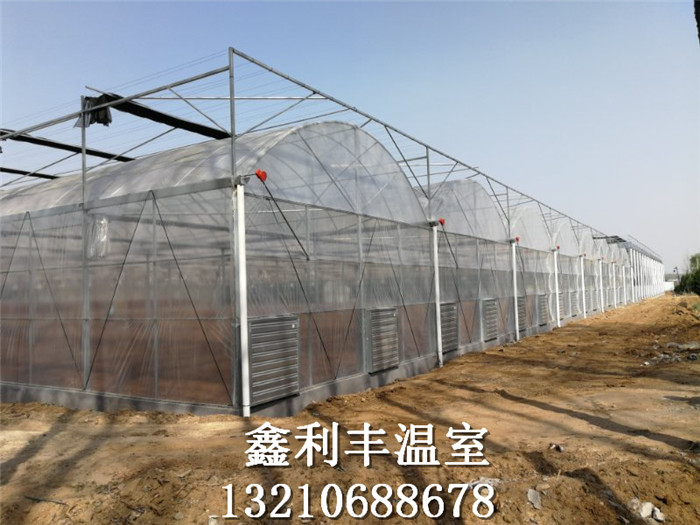 連棟溫室工程施工現場