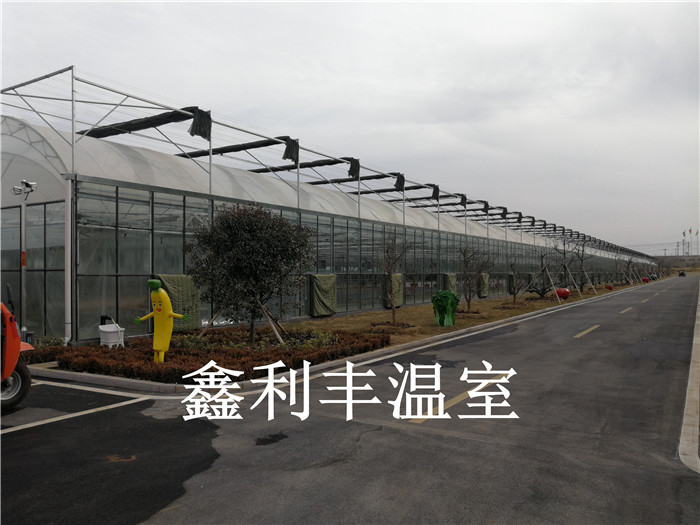 沂水匯博農業雙拱雙模溫室