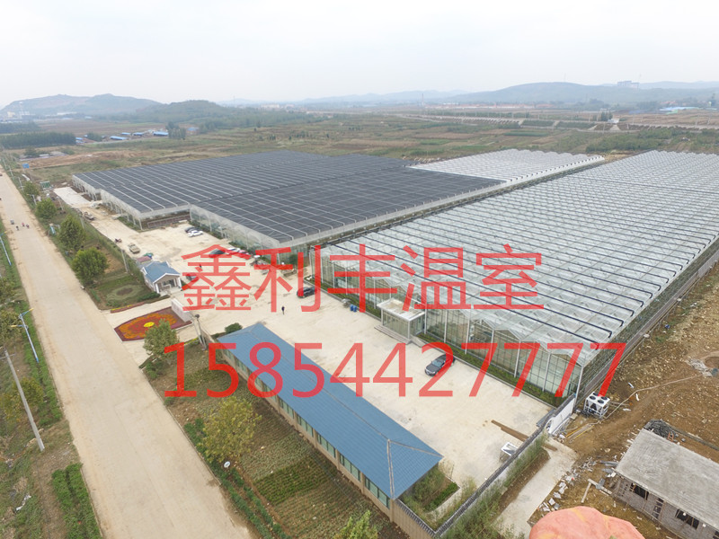 玻璃溫室建設工程