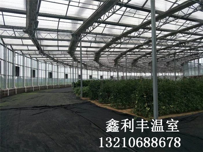 內蒙異形玻璃溫室