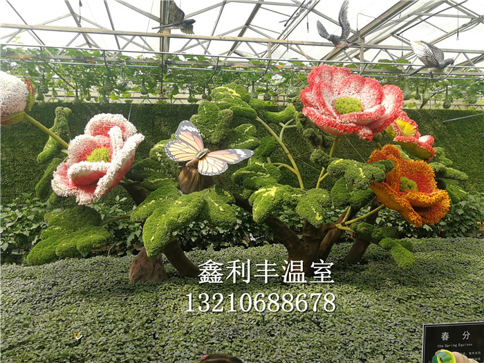 蔬菜產業園內景