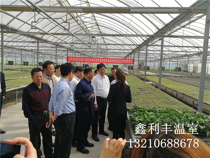 江西農業局局長參觀育苗溫室大棚