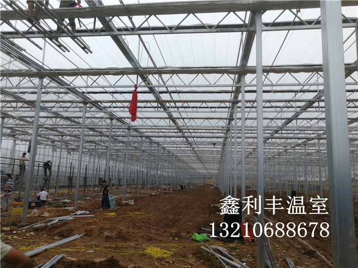 甘肅玻璃智能溫室現場