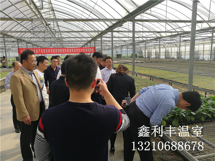 河北懷來葡萄大棚參觀團
