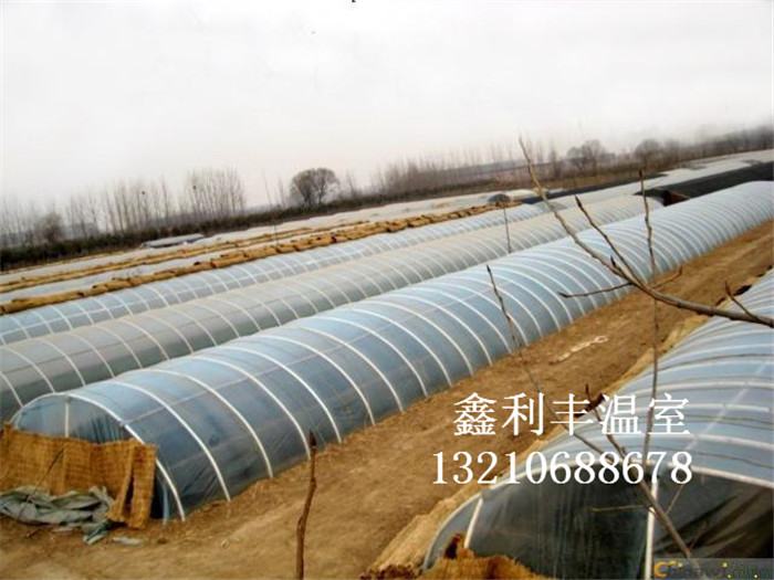 黑龍江拱棚現場