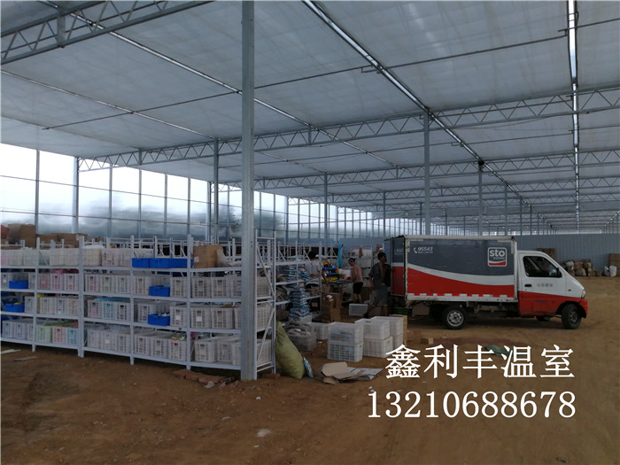泰安陽光板連動溫室倉庫出租